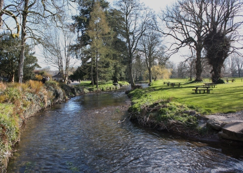 Stream flowing through the grounds of Blarney Castle