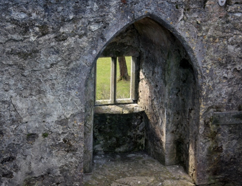 Window at Blarney Castle 