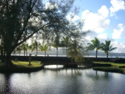 Pond at Liliokalani Park